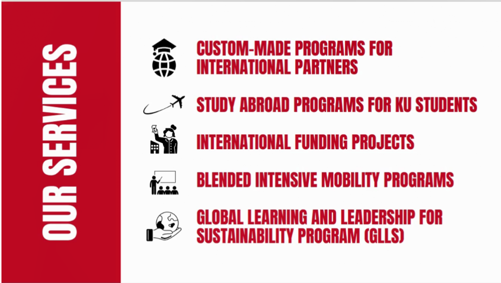 our services as international programs and education projects